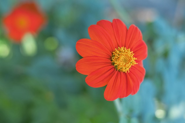 的经济收益 的经济收益