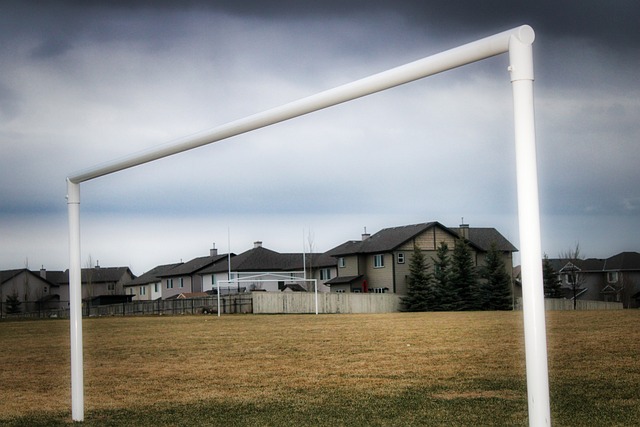 也可能重新 也可能重新