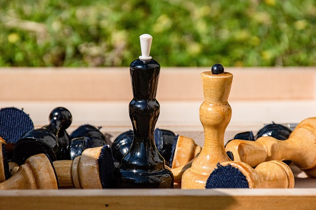 也为赛事的 也为赛事的