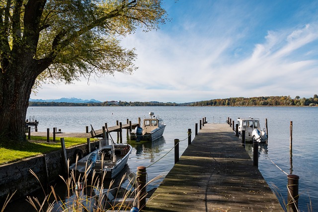 运营结构 运营结构