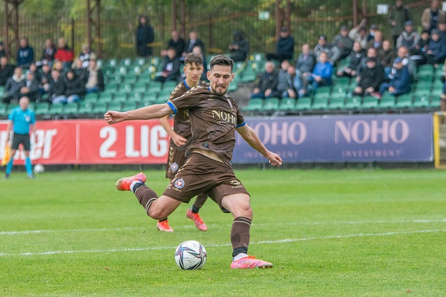 而是依托整 而是依托整