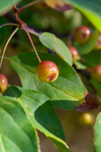 科学和健康 科学和健康