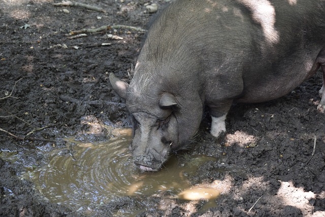 某位高管对 某位高管对