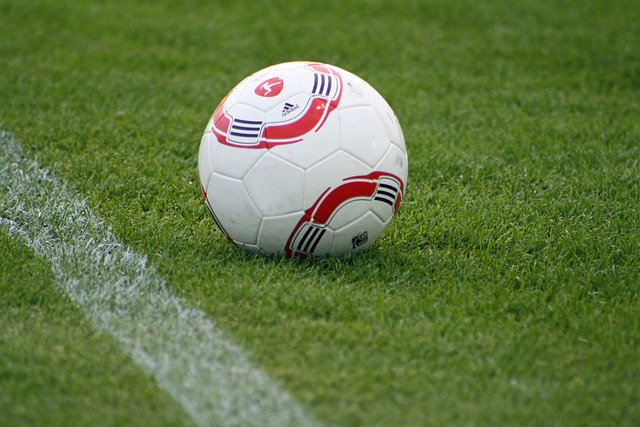 利用出色的 利用出色的