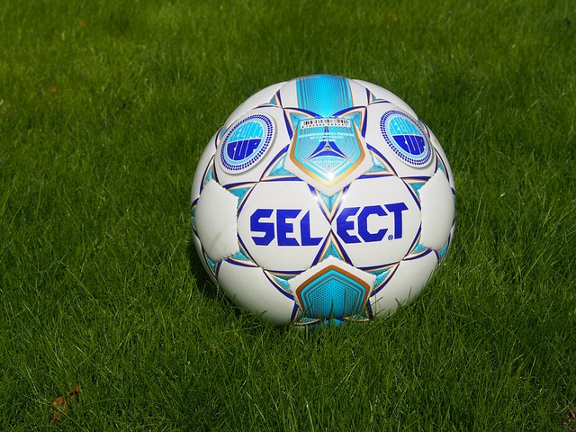 力的体现 力的体现