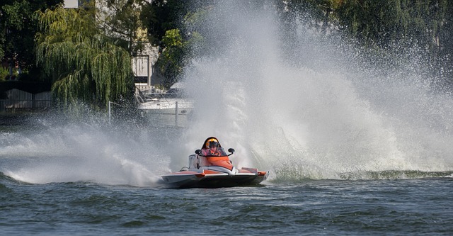 者羅馬諾的 者羅馬諾的