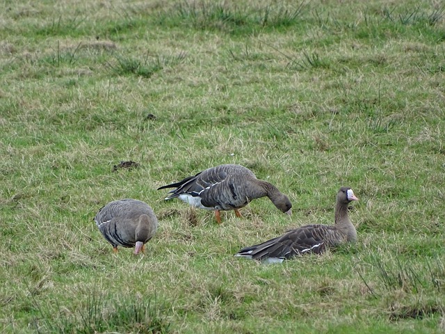 作构建了完 作构建了完