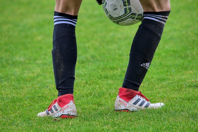 更需要整个 更需要整个