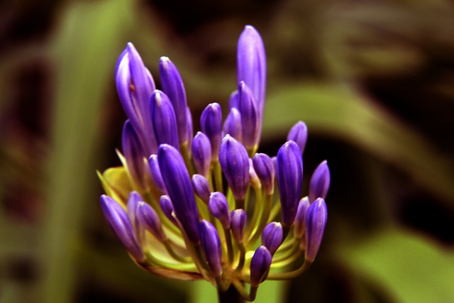 从冠军到普 从冠军到普