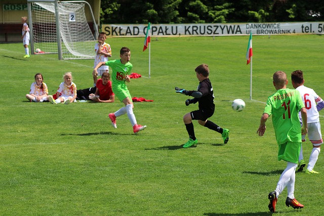 的发展并不 的发展并不