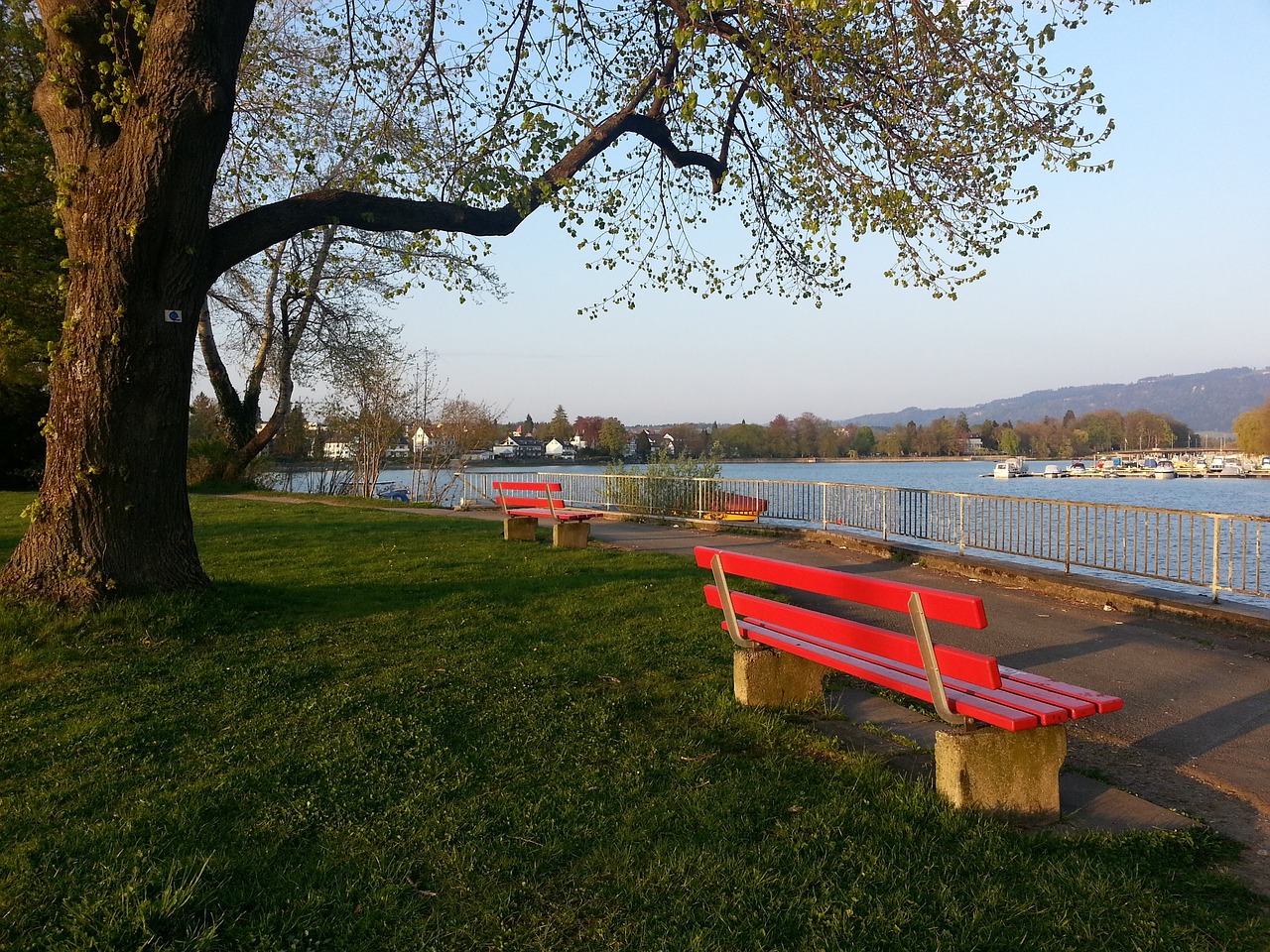 并通过我们 并通过我们